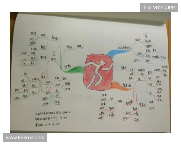 K8官网体育app的用户评价与反馈：优点与改进空间分析