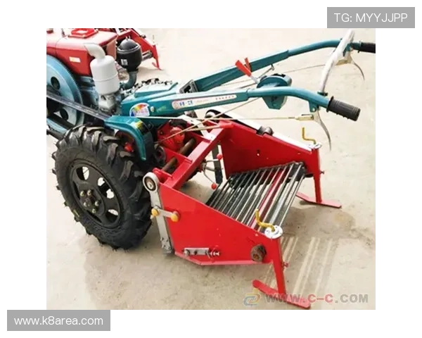 凯发体育的网址安全性分析，选择正规入口保障您的资金安全