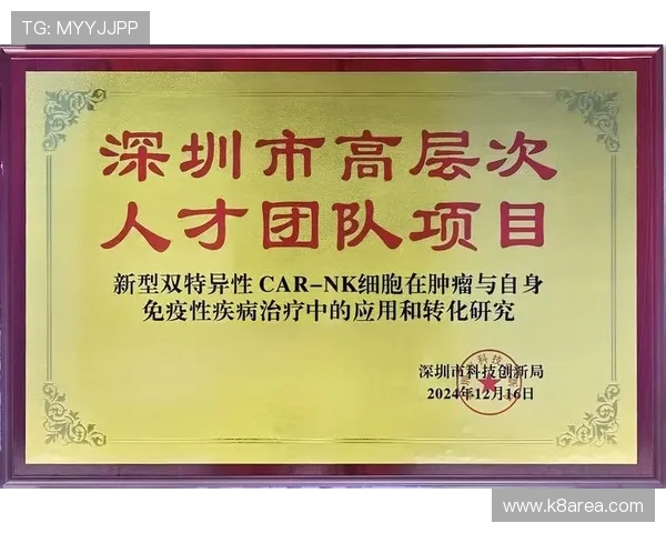 如何快速找到凯发k8国际首页登录入口确保账号安全与顺畅体验 如何快速找到凯发k8国际首页登录入口确保账号安全与顺畅体验