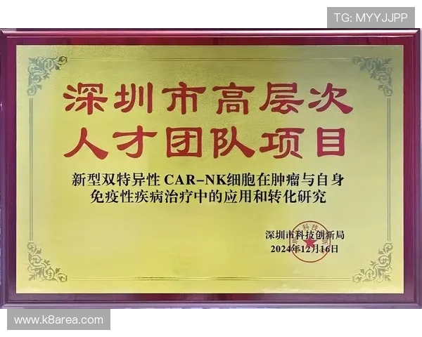 k8凯发天生赢家一触即发人:揭秘游戏中的制胜法宝与实战技巧提升胜率